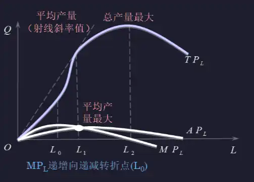 __assets/Chap.03 生产者行为理论/IMG-Chap.03 生产者行为理论-20250301141539492.webp