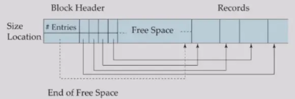 IMG-DB 13 Data Storage Structures-20250415135048055.webp